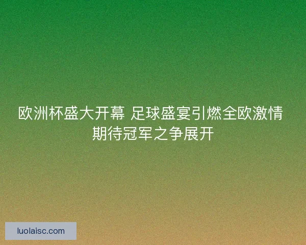 欧洲杯盛大开幕 足球盛宴引燃全欧激情 期待冠军之争展开